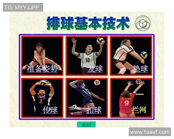 深圳排球队整体压制体系解析与战术运用探讨