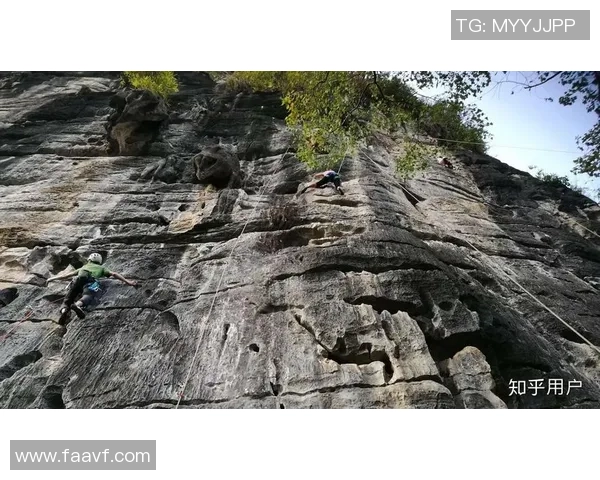 杨伟独家：分享攀岩心得