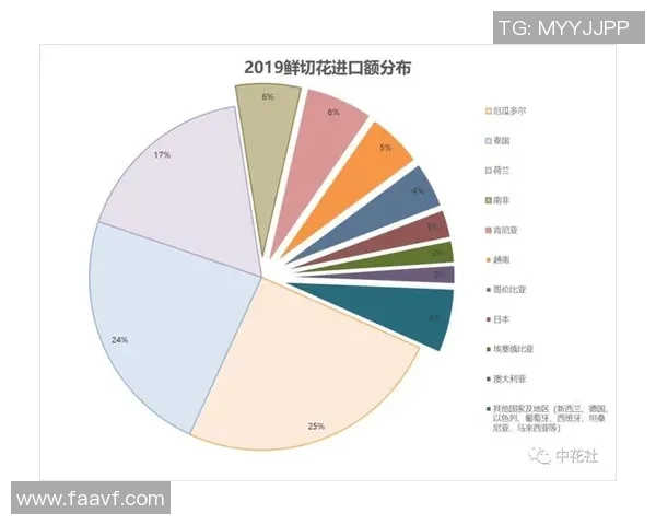 独家分析：广州排球队的战术对比
